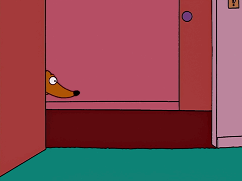 Animated gif of a Simpsons clip featuring family dog Santa's Little Helper dragging his bum across the carpet on a towel.